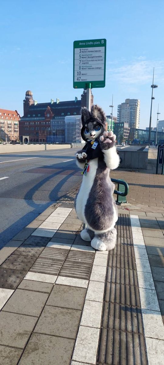 ☀️ Happy #FursuitFriday ☀️
Heute stellen wir euch Avalanche vor! Erfahrenes Fur aus dem Westerwald, Design-Heldin bei #Furvaria, Dienerin einer Maine-Coon 🐾, immer unterwegs zwischen Bergen &amp; Küste 🚂
Seit letztem Jahr auch flauschig!
Seid dabei &amp; fliegt mit ihr zum Mond! 🌙✨