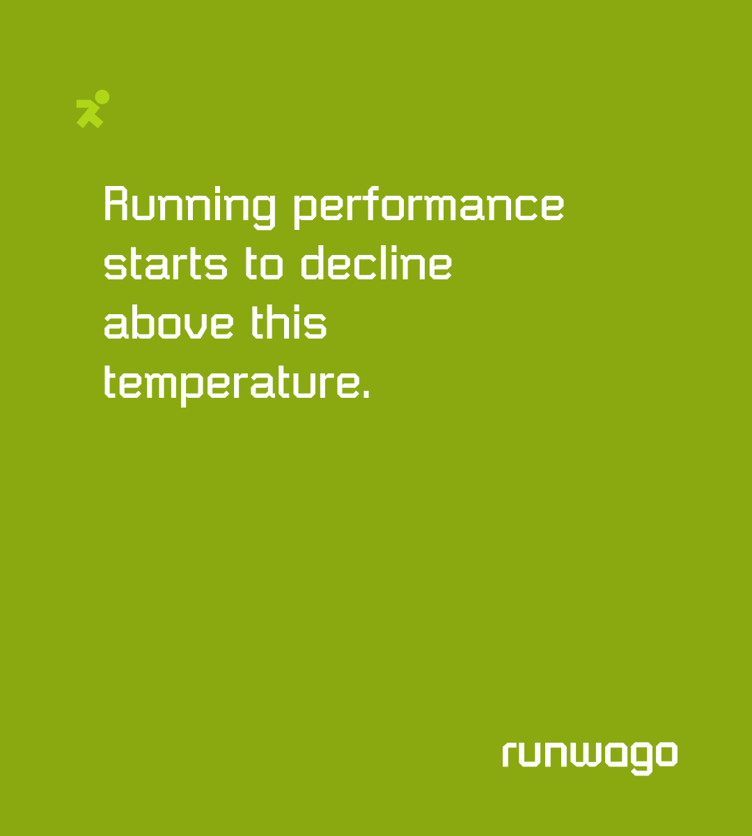 Runwago tweet media