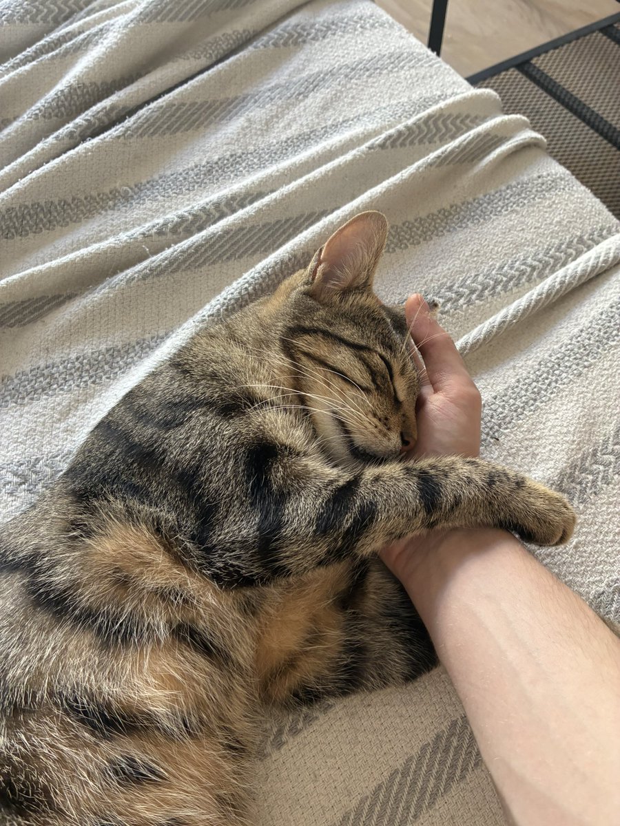 Elimi esir aldı. Nasıl geri alacağım?