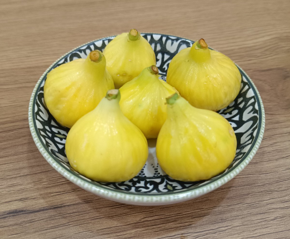 İncir>>>>>>kavun, karpuz