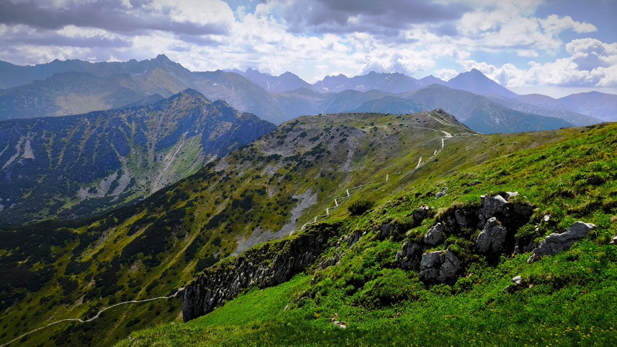 FreeWolf (@johnlocke1125) on Twitter photo 