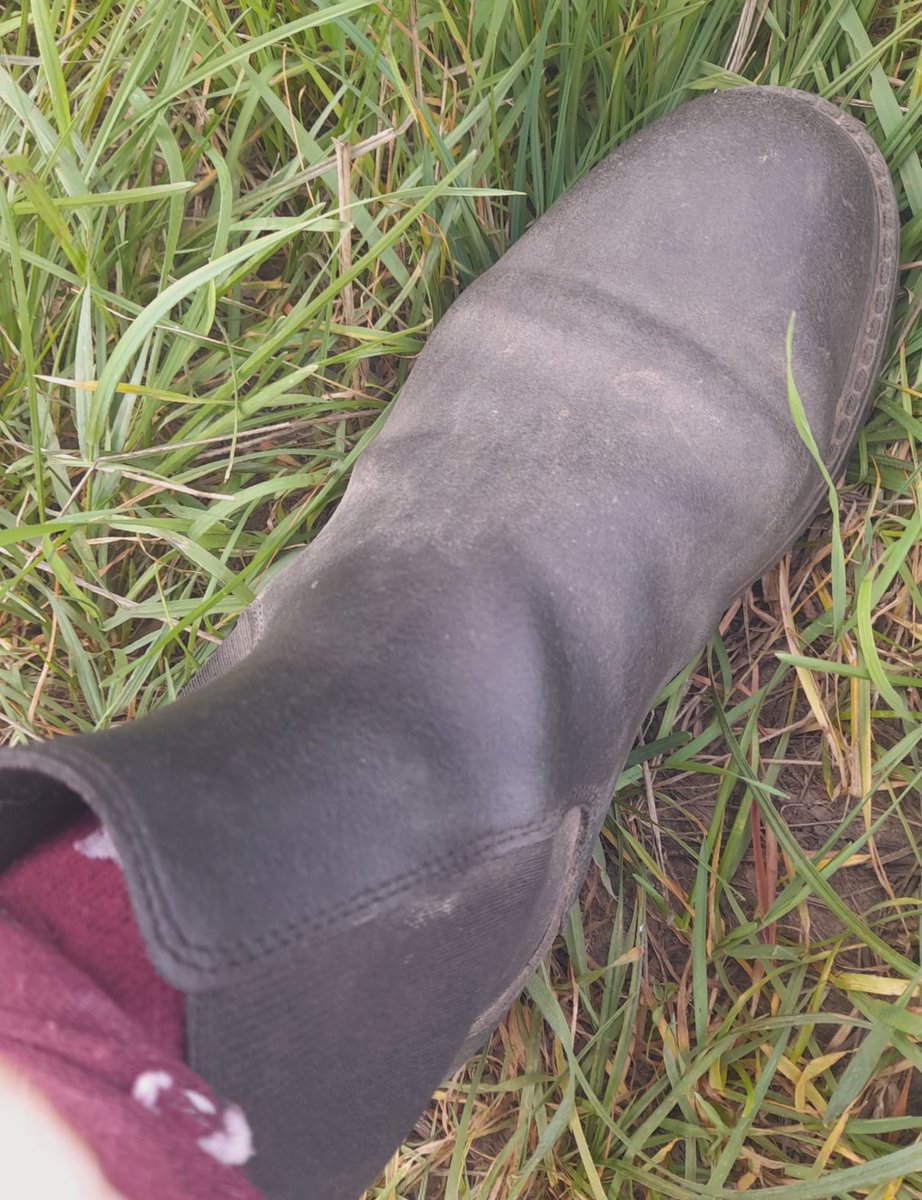 ReitschuhQueen's tweet photo. Reitstiefel ausziehen oder Socken dranlassen? 😏👢🧦
Boots off or socks on? Your choice… 😏👢🧦

#bootsfetish #sockfetish #ridingboots #wornboots #bootlover #socklover #fetishcontent #bootsandsox #equestrianfetish #fetishcommunity https://t.co/YWdIbWbnoH