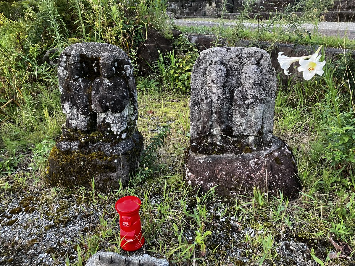 MTJP METAL DETECTING tweet media