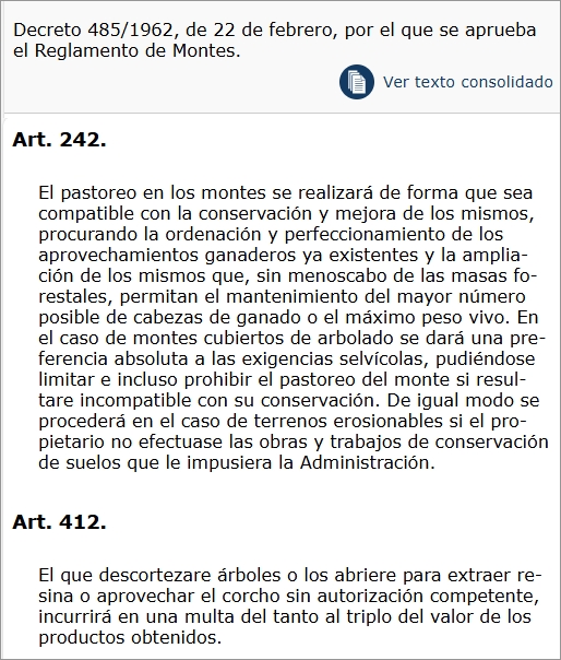 AdrianCito ♊ tweet media