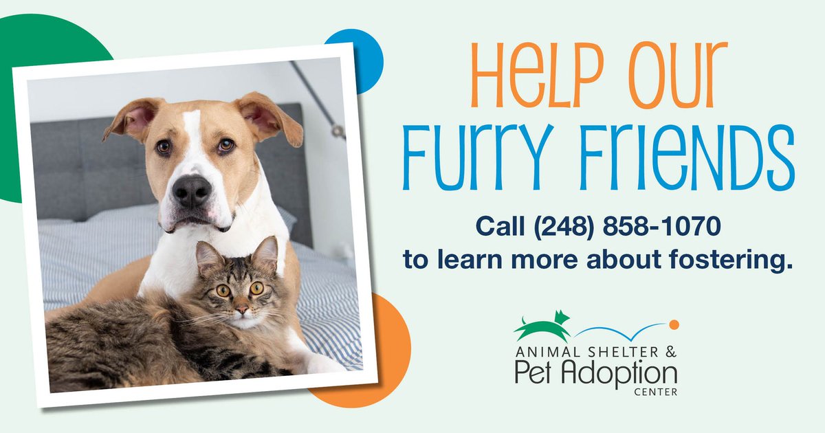 All paws on deck! The #OaklandCounty Animal Control &amp; Pet Adoption Center is looking for individuals who would like to #adopt or #foster a furry friend. View the available pets: ow.ly/FBo450WBHZL.

For more information or to schedule an appointment, call (248) 858-1070.
