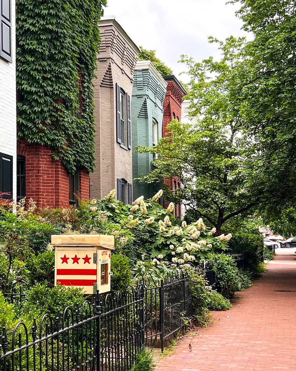 The real DC is lived in, loved and shared by 700,000 proud residents and millions of visitors.❤️

📸: pharipedia / IG #Only1DC