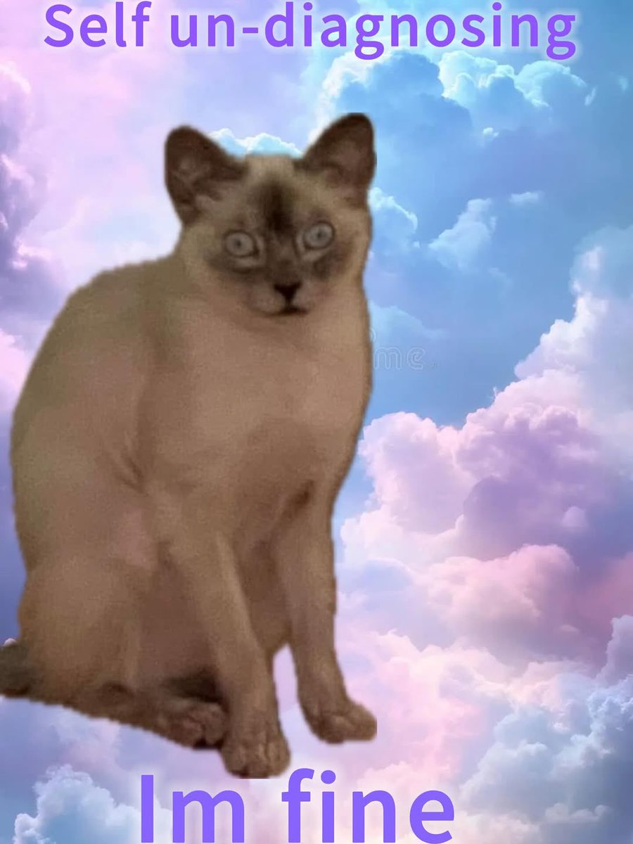 literallymecats's tweet photo. https://t.co/qJUKdm0jJr