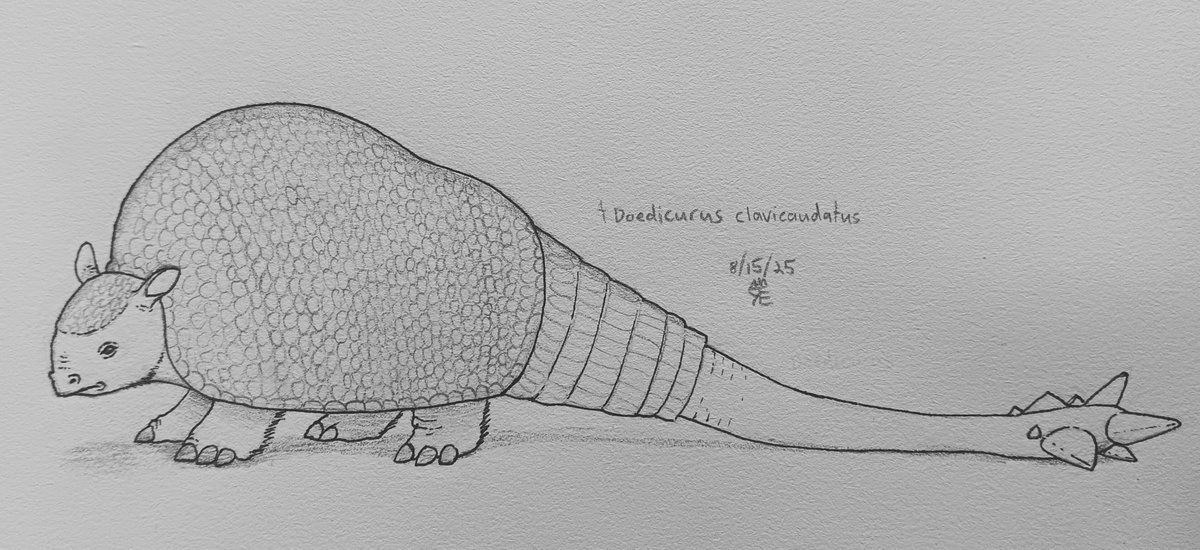 Sketch of the glyptodont Doedicurus; a large herbivore of Quaternary South America known for its long, morning-star like tail.