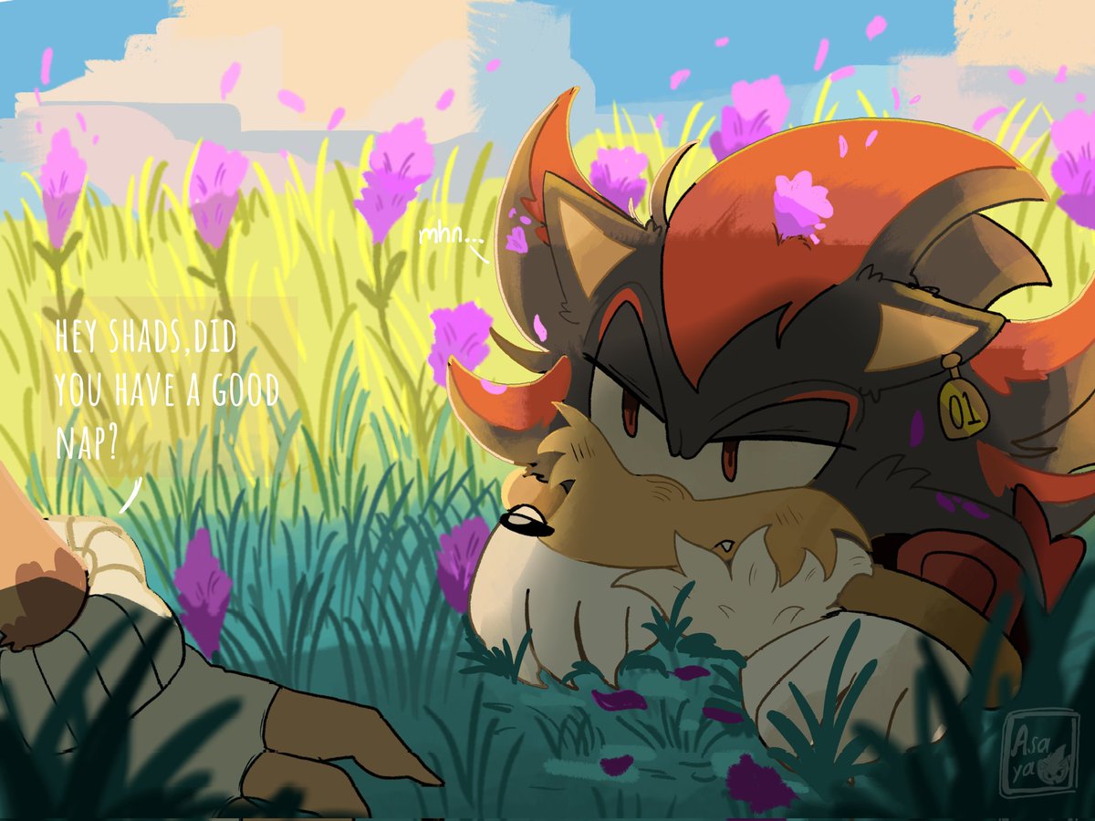 I arrived a little late (ᵕ—ᴗ—)

[ #ShadowTheHedgehog #SonicTheHedgehog #sonadow #shadonic]