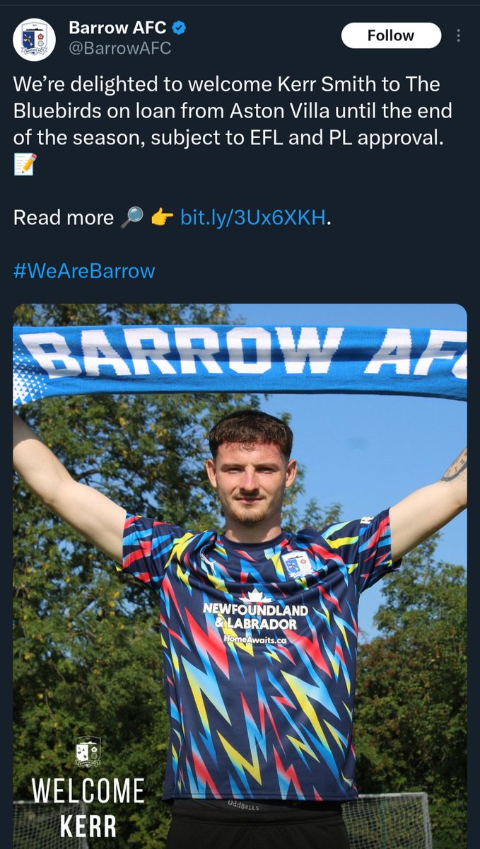 Harry Gouston tweet media