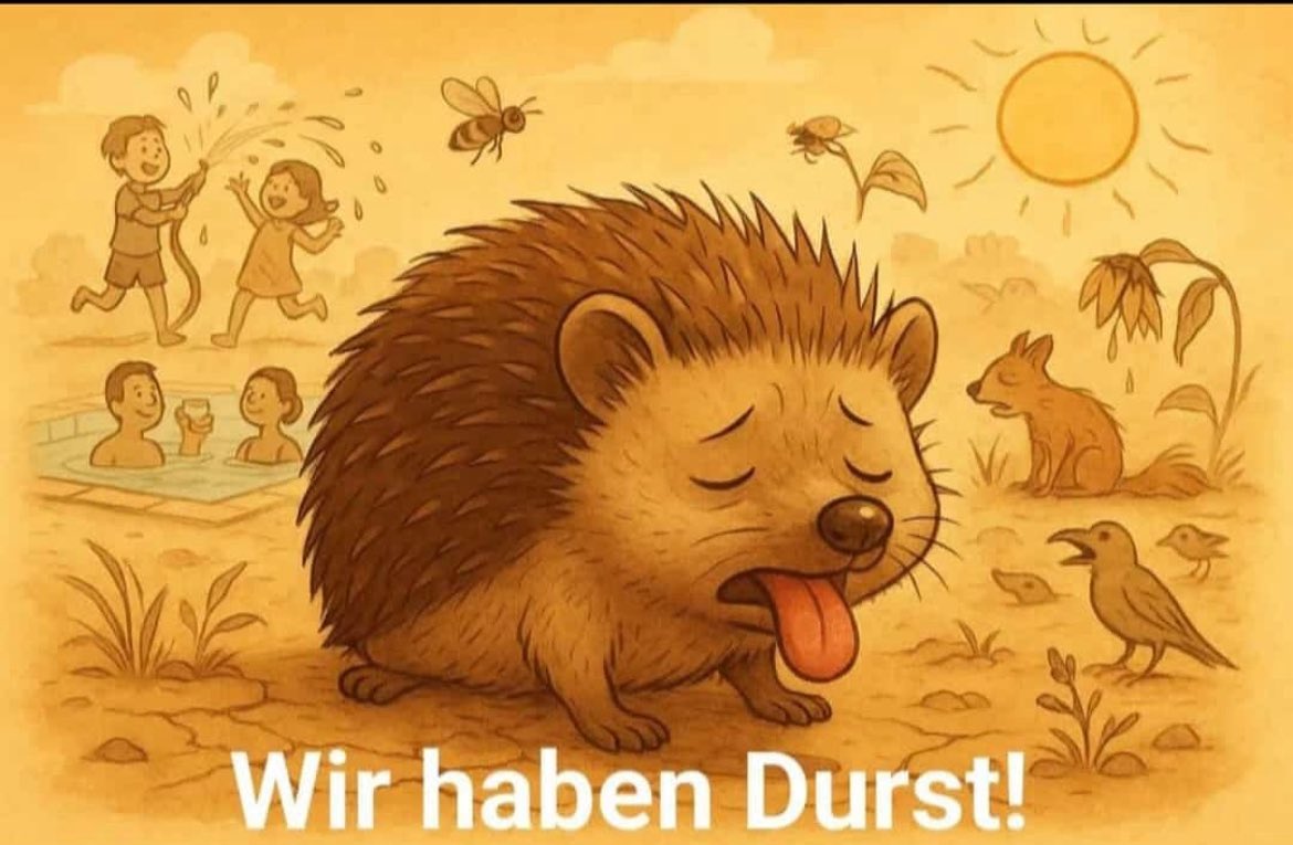 HilfeIgel's tweet photo. ‼️ Stellt den Tieren Wasser hin ‼️ https://t.co/ALpB6iqtcs