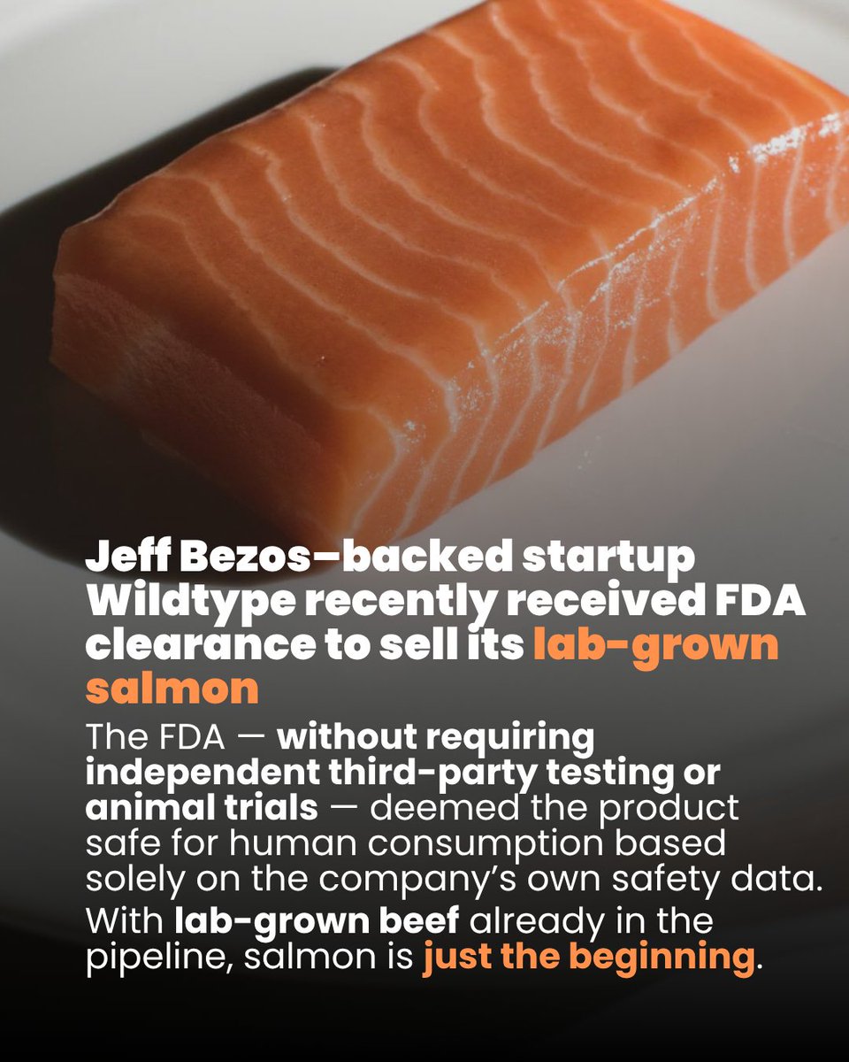 You're safe here.

No Lab-Grown Beef AT The Wellness Farms.  EVER.