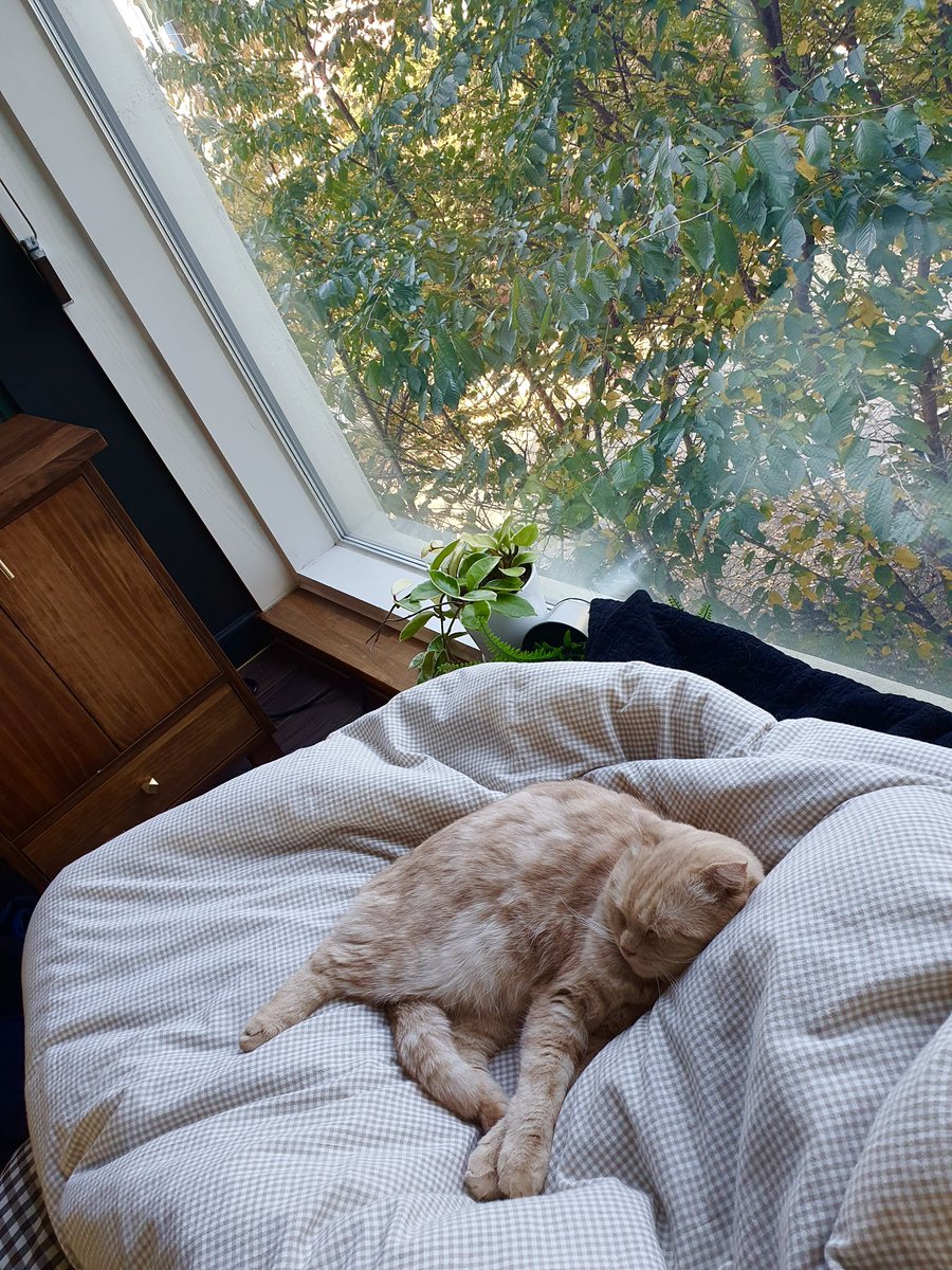 여러분~ 기분 좋은 휴일밤 보내세요🤍