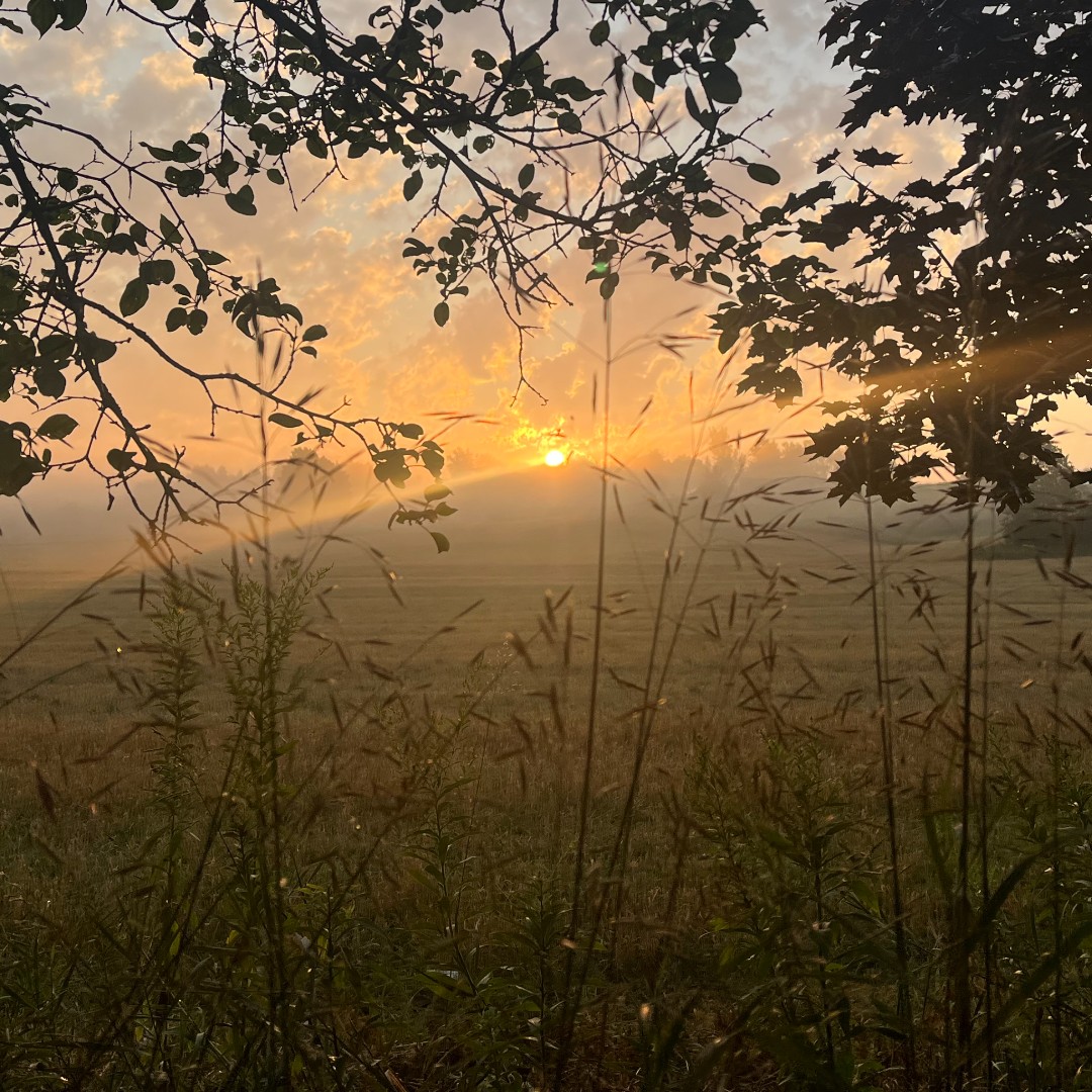 It's #NationalRelaxationDay, the perfect excuse to unwind by Lake Simcoe. 🌿💧
Whether you're in a conservation area, on the shoreline, or under the trees, time in nature reduces stress, boosts mood, and clears the mind.
Take a breath. You’ve earned it. 
 #LakeSimcoe