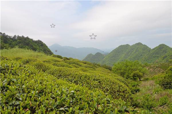 ⚓821318🏮A swing’s chains creak with each high arc.🏆harmonious