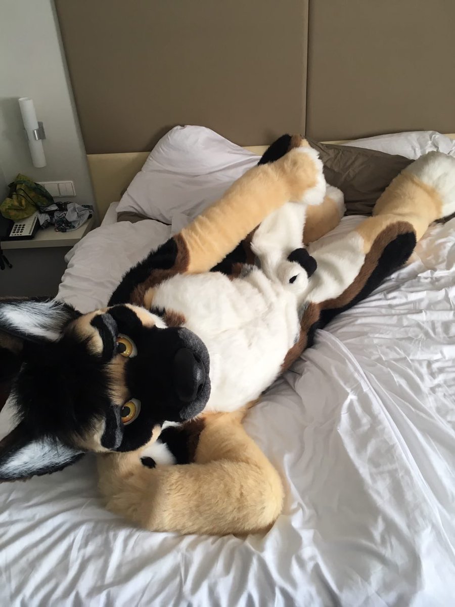 Oh… This was your bed?
Well, find way to get me off then~

#fursuit #murrsuit #fatsheathfriday #nsfw