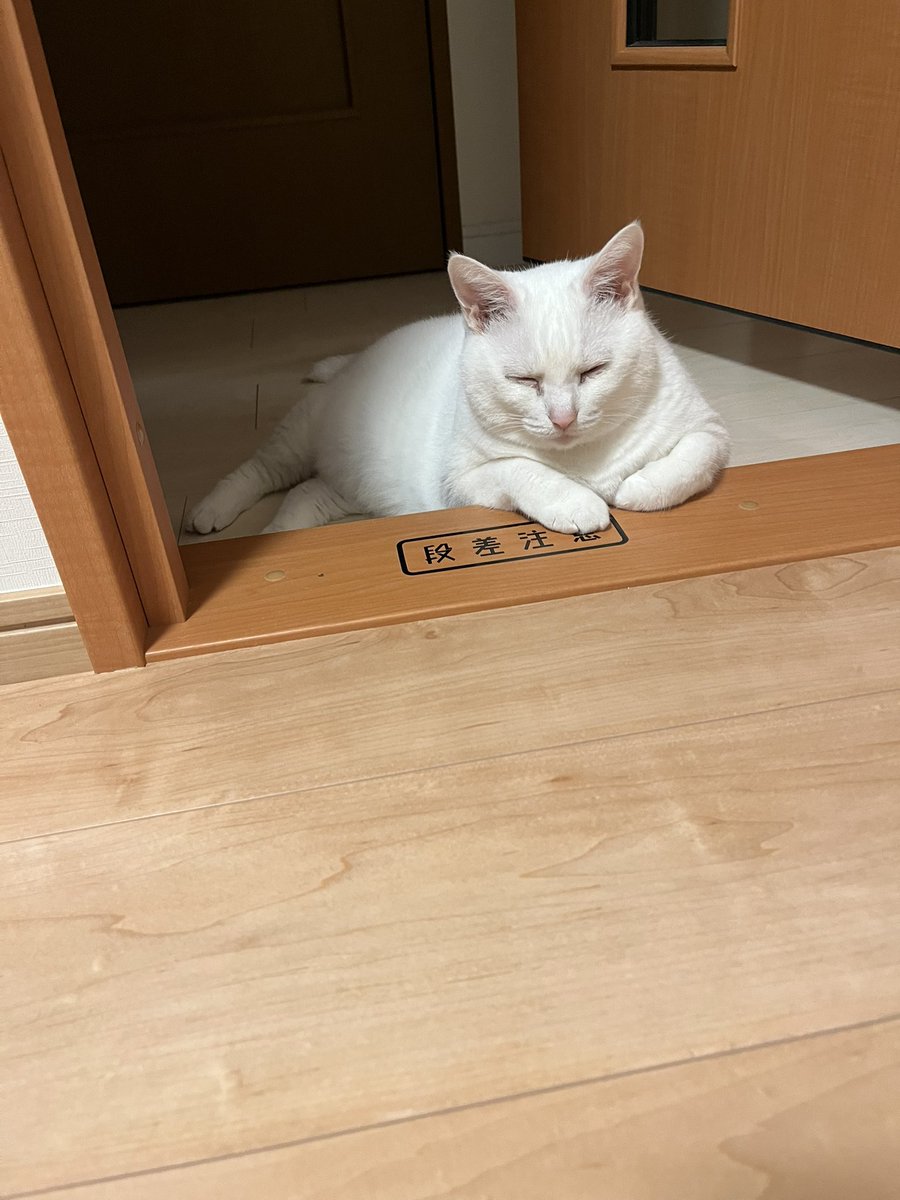 ウトウト