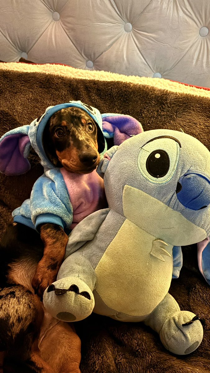 everobin19's tweet image. Mi razón de vivir 🥺❤️