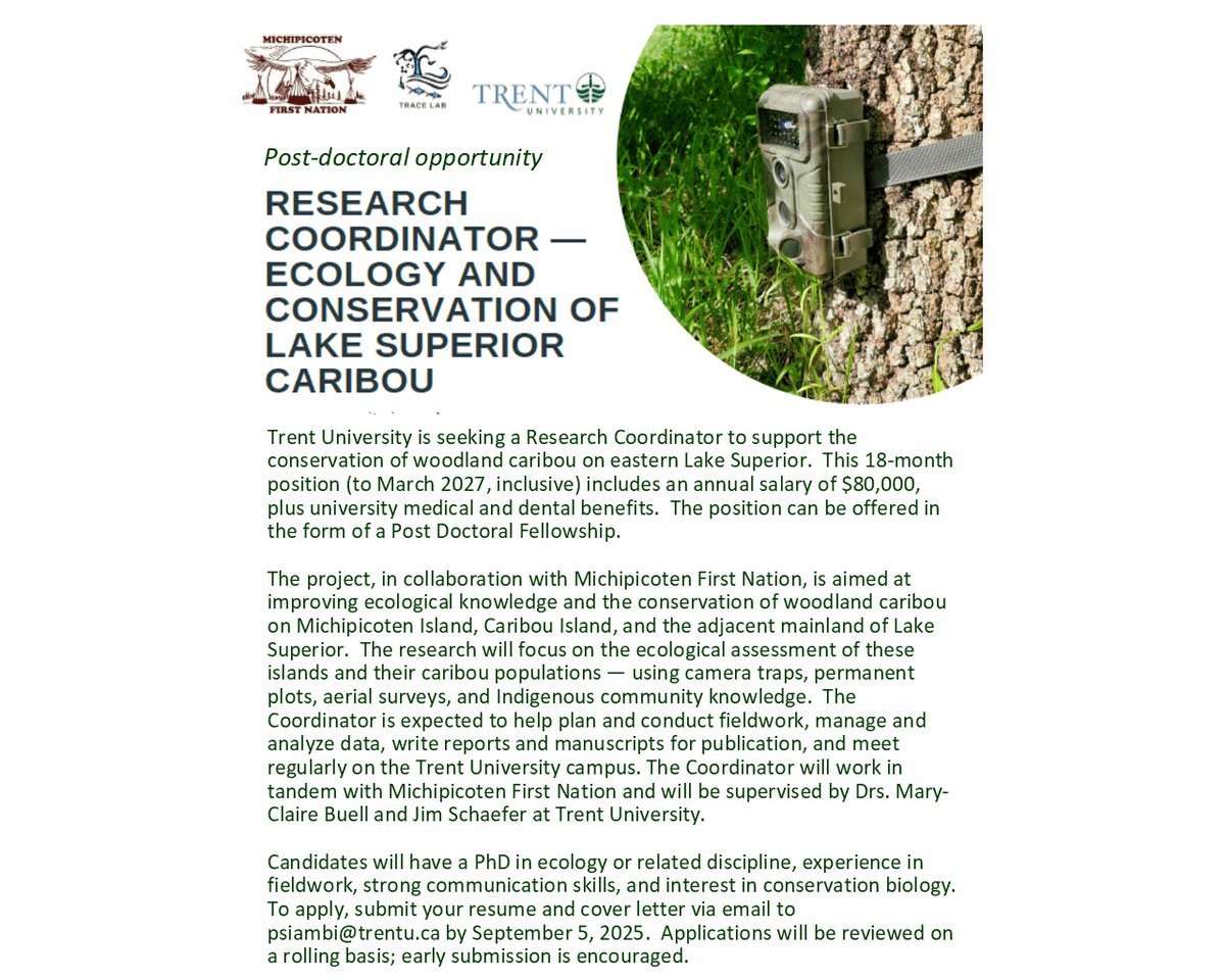 James Schaefer (@jamesaschaefer) on Twitter photo Post-doctoral research opportunity at Trent University in the ecology and conservation of woodland #caribou. Annual salary of $80,000. Apply to psiambi@trentu.ca by September 5, 2025. Post-doctoral research opportunity at Trent University in the ecology and conservation of woodland #caribou. Annual salary of $80,000. Apply to psiambi@trentu.ca by September 5, 2025.