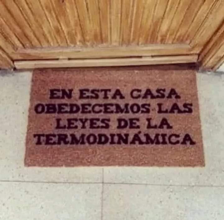 ¡Qué agradable tapete!