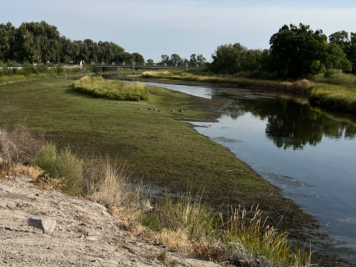 The Rio Grande dies before us. Talk to old timers in the San Luis Valley and they’ll tell you they’ve never, ever seen the river in this condition. #SanLuisValley #Colorado