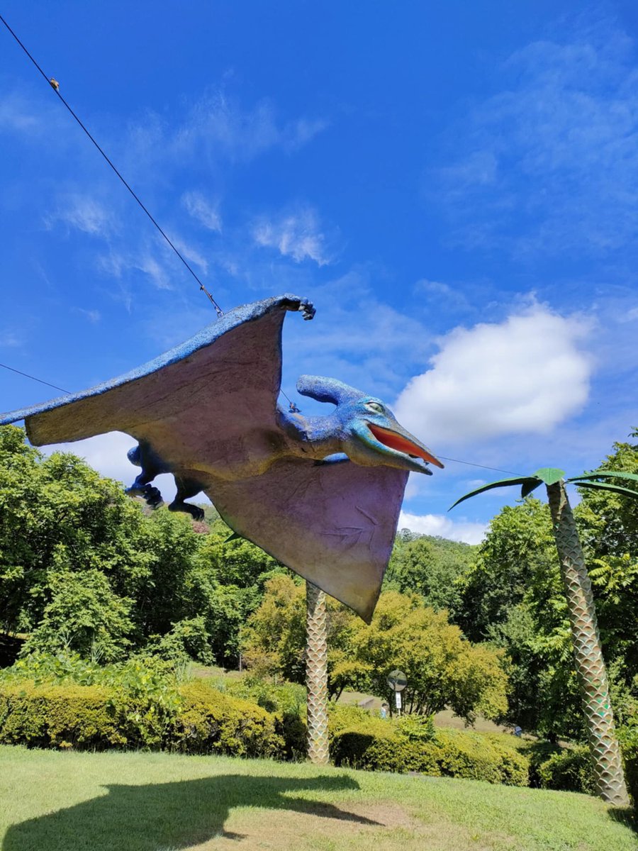 帰省に合わせて、ジャングリア長野に行ってきました。こんな素晴らしいアミューズメントパークのチケット代が0円で、アトラクション待ち時間0分なんて凄すぎますね！ #茶臼山恐竜公園 #ジャングリア長野 #ジャングリア沖縄