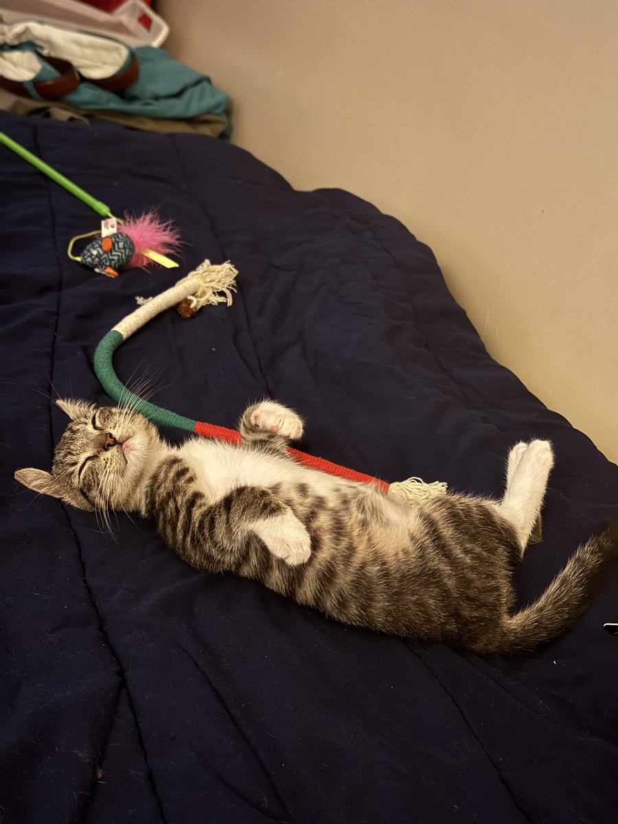 я работаю чтобы он мог вот так дрыхнуть в любое время суток