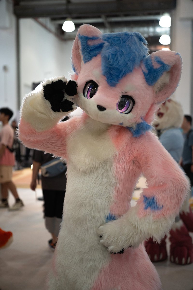 Ciallo～(∠・ω&lt; )⌒⭐
#furry #FurryFriday