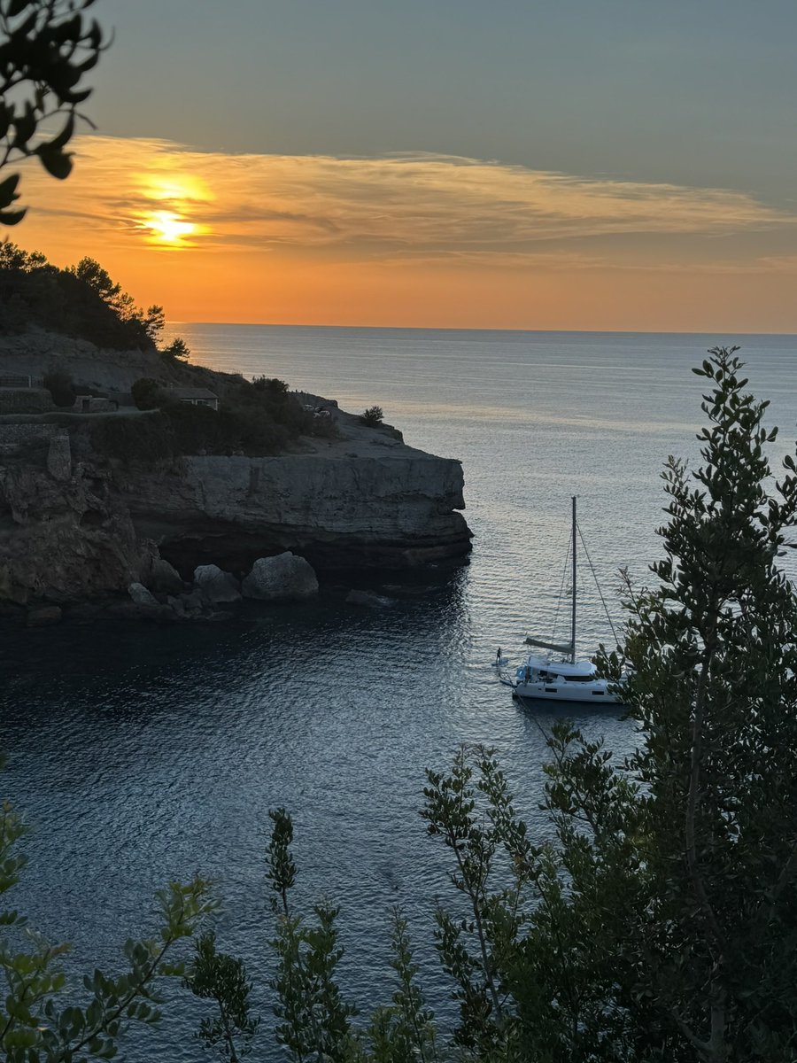 Reminder to get out there and touch grass (or ocean preferably) 

Coins will continue to coin