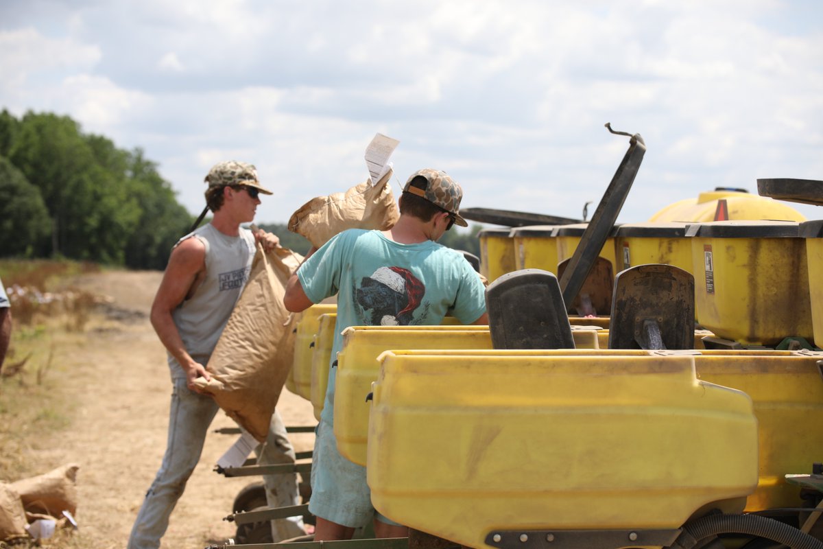 Young hands, strong future. There’s something special about seeing the next generation getting involved in agriculture. 

#FutureFarmers #GaPeanuts #GeorgiaAgriculture