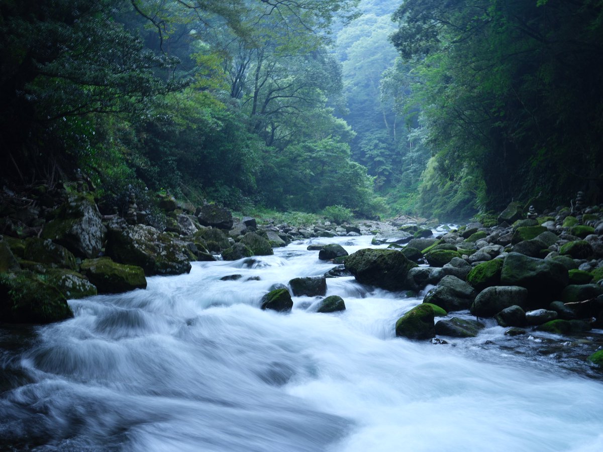 旅行2日目
川の近くが涼しいことこのうえなしだった
初めて星撮したけどこーれむんずいです
