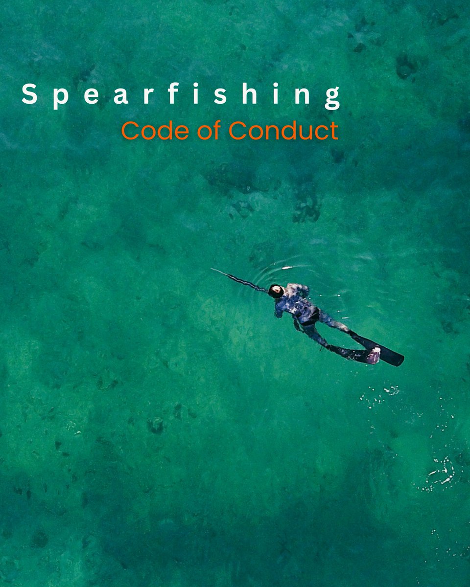 Read <a href="/sussex_ifca/">Sussex IFCA</a>  Code of Conduct - #spearfishing  sustainably and protect marine life. Developed with BSA &amp; Sussex Spearfishing Club.

Snorkel only, no gas guns
Max 10 fish/day for consumption
Avoid protected areas &amp; species
Follow minimum size limits
secure.toolkitfiles.co.uk/clients/34087/…