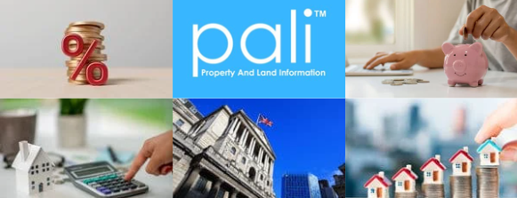 Pali Ltd tweet media