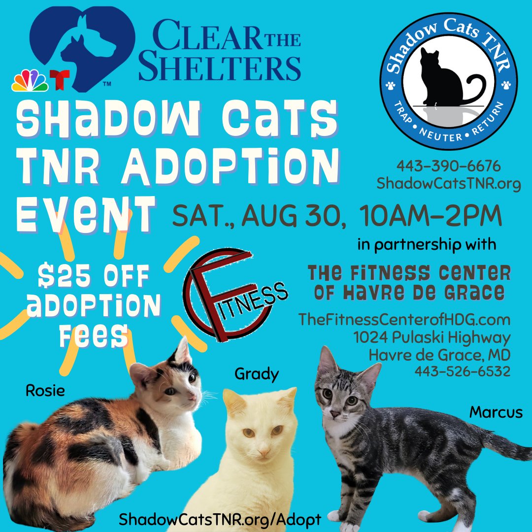 ShadowCatsTNR's tweet photo. Join Shadow Cats TNR for our second adoption event of the month!  Meet cats currently in foster care and find out about their PURRsonalities from their foster parents!

#ClearTheShelters #adopt #adoptdontshop #cats #foster #fosteringsaveslives https://t.co/hGwPxwKWzk