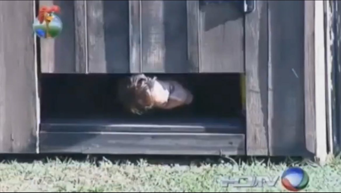 De madrugada passou o grande momento em que Lu Schievano se esconde no banheiro e finge uma dor de barriga só pra não cuidar da horta. 

Isso é cinema pra mim!  

#AFazenda17