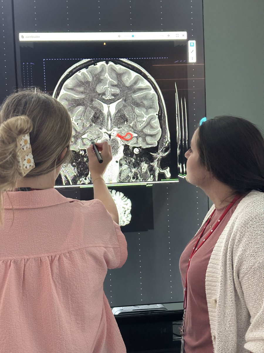 Warren Neuroscience Lab (WNL) tweet media