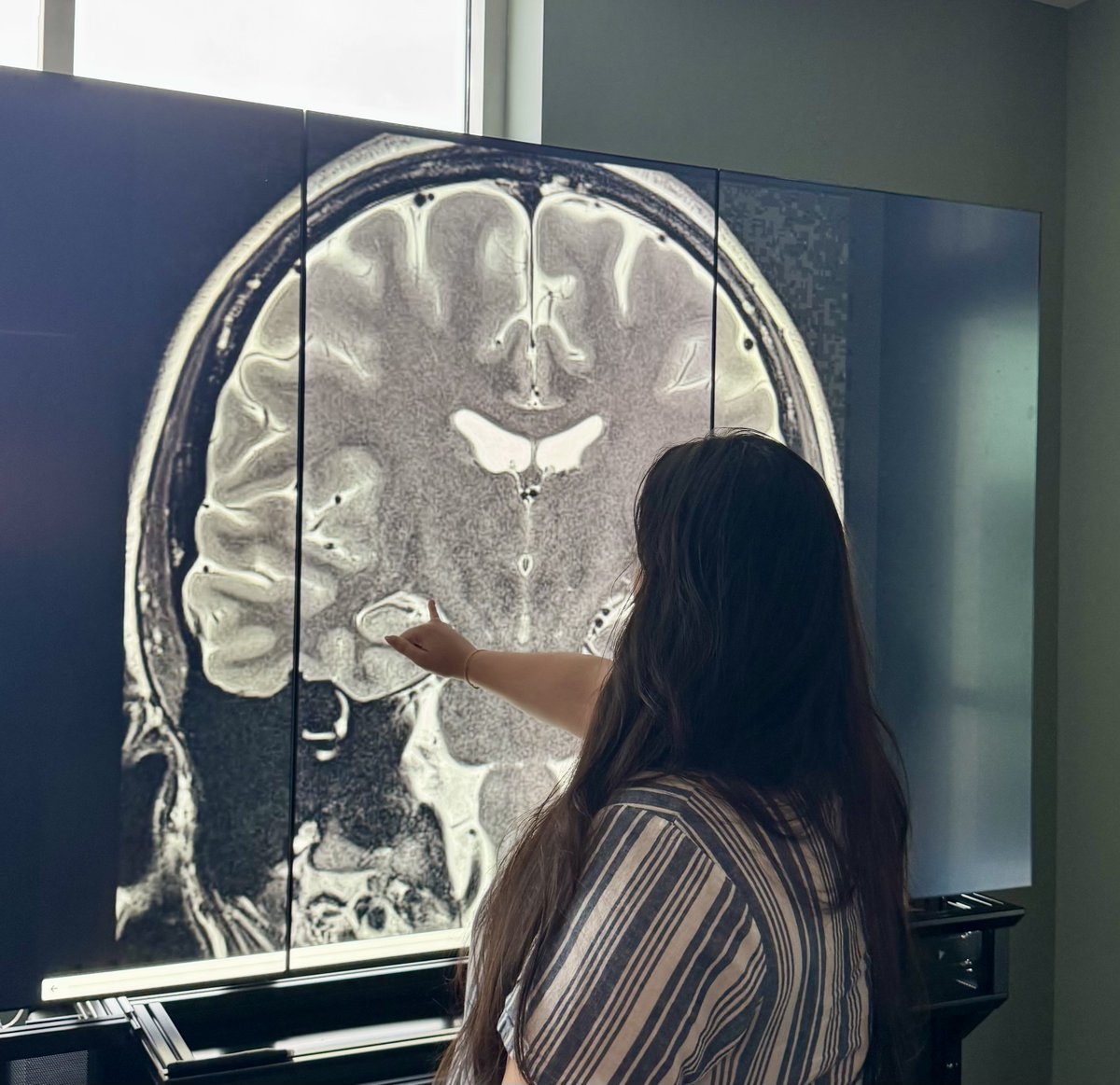 Warren Neuroscience Lab (WNL) tweet media