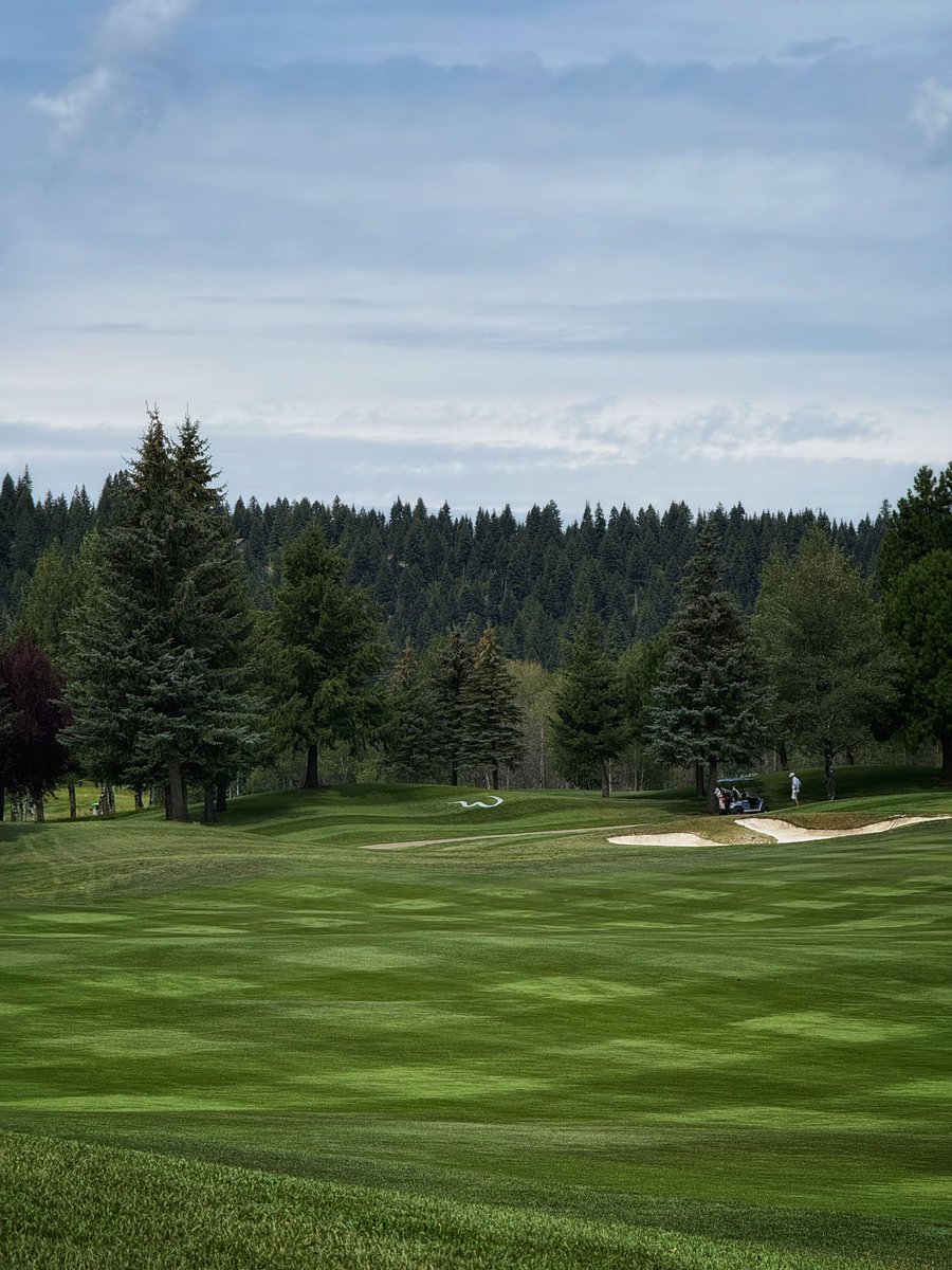 A week late, but still worth the shoutout 🙌 Huge thanks to the Whitetail crew for crushing Men’s Invitational week! #WhitetailTeam #2025MensInvitational