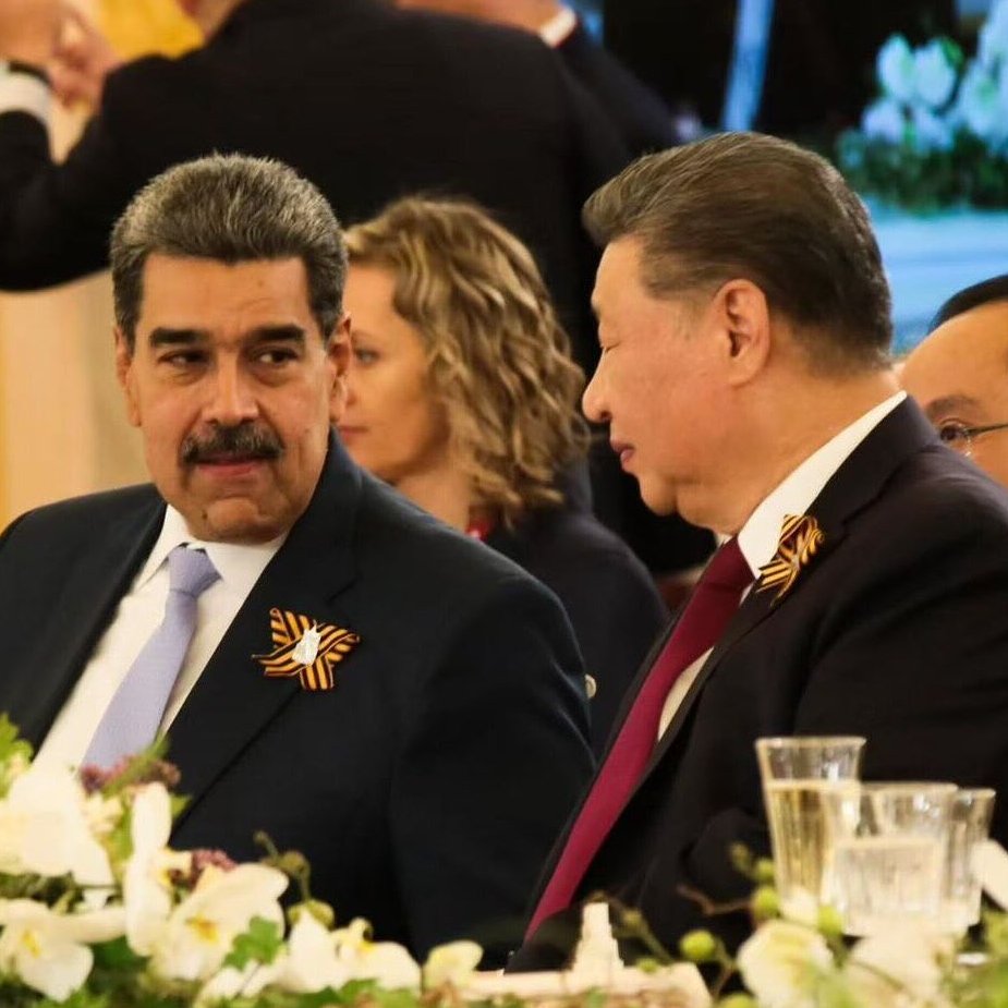 Fernanda Salles tweet media