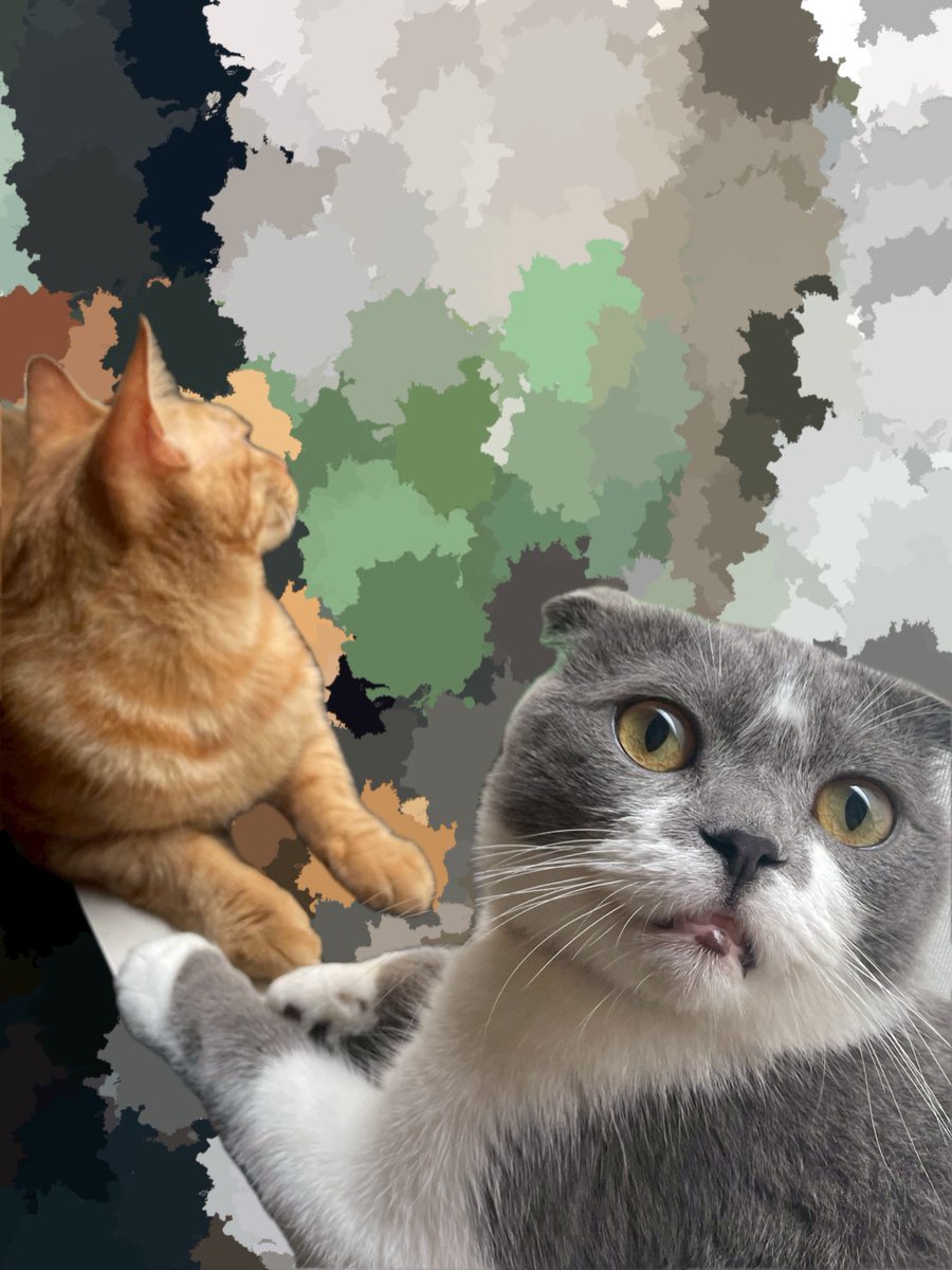 おはようございます！
まだまだ日差しも強いため、熱中症等気をつけていきましょう。
パソコンショップエムズは10～17時まで営業中なのでぜひお立ち寄りくださいね🐈

#猫 #猫のいる暮らし #猫好きさんと繋がりたい 
#しんのすけ店長　#とらのすけ専務