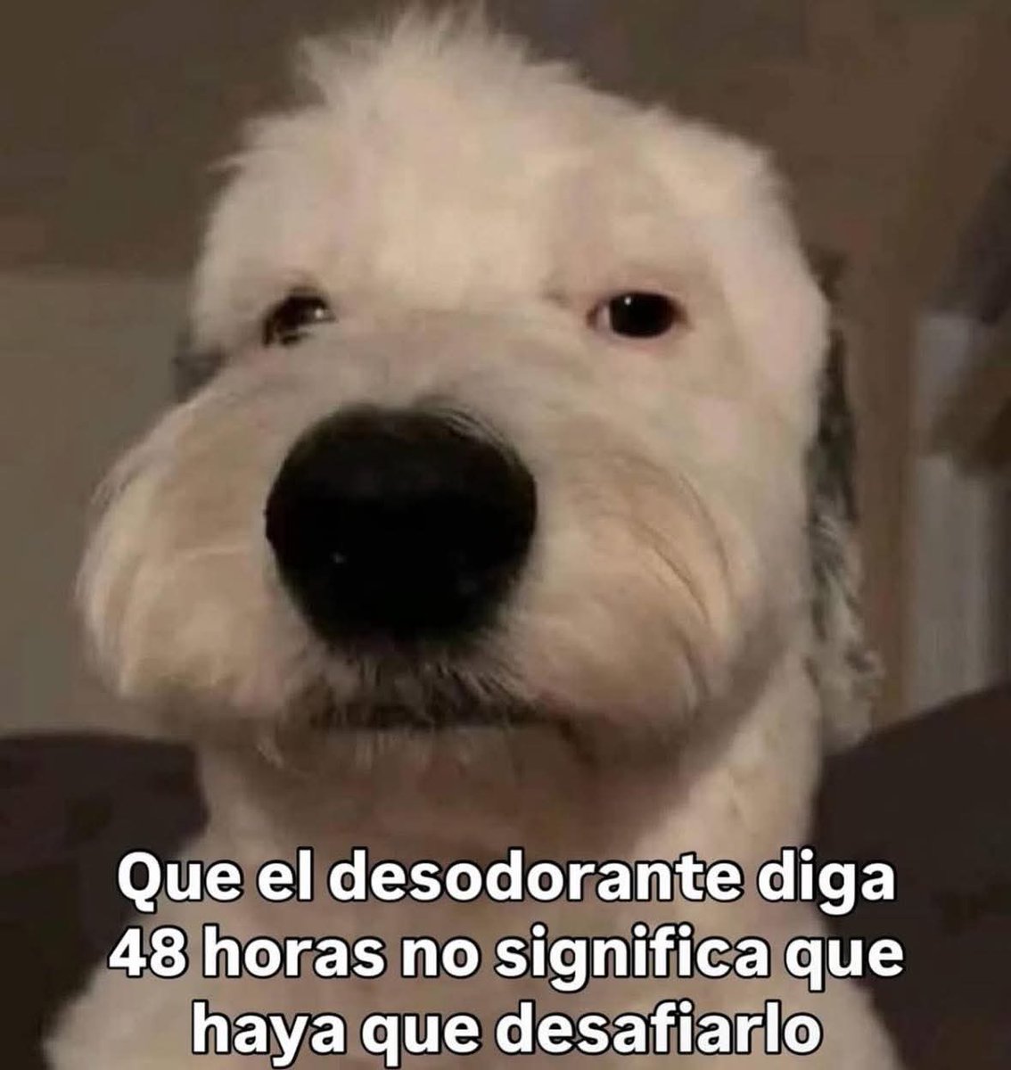 En Júpiter (@en_jupiter_) on Twitter photo 