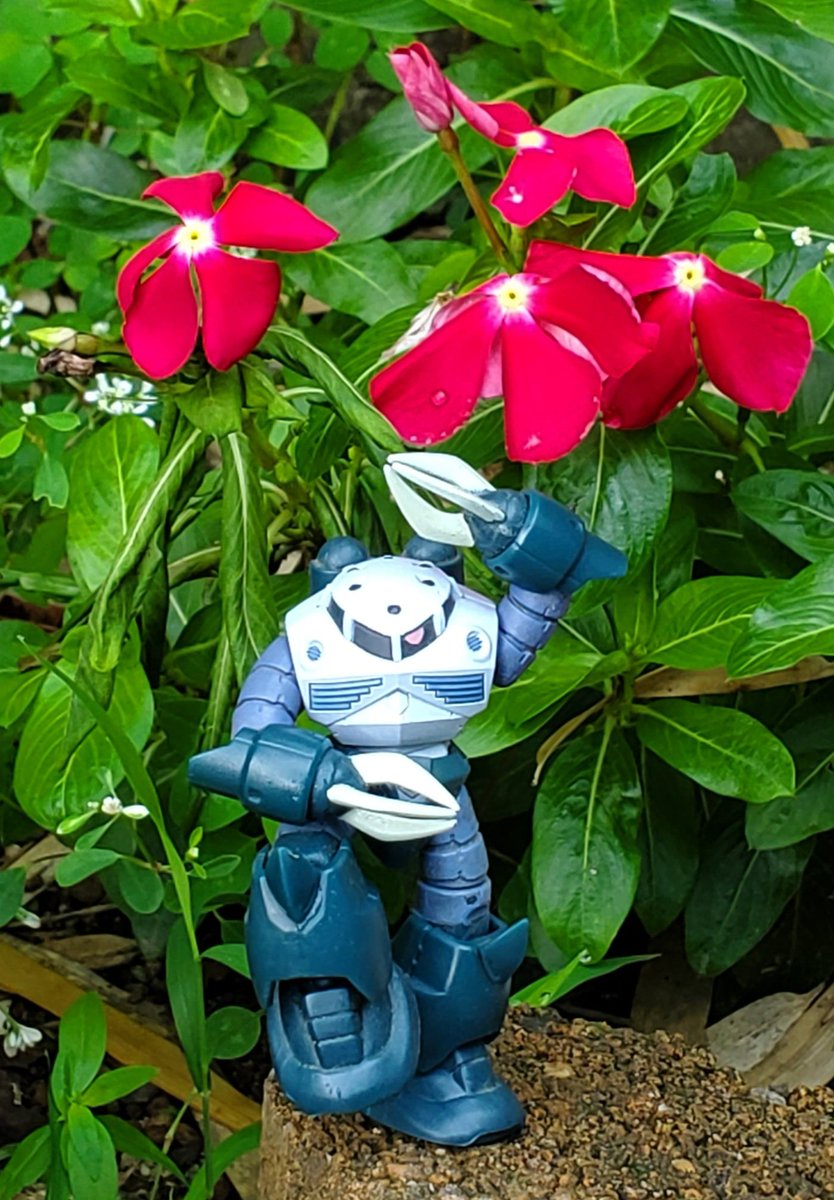 おはようございます。需要は無いけど、ガンダム華道！タイトル「あなたにはクンフーがたりないわ！」このズゴック、昔のガチャガチャですが、稼働が良くて片足で余裕で立てます。