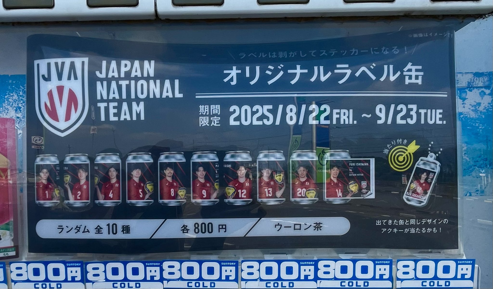 バレーボール日本代表 オリジナルラベル缶 ウーロン茶 バレーボール