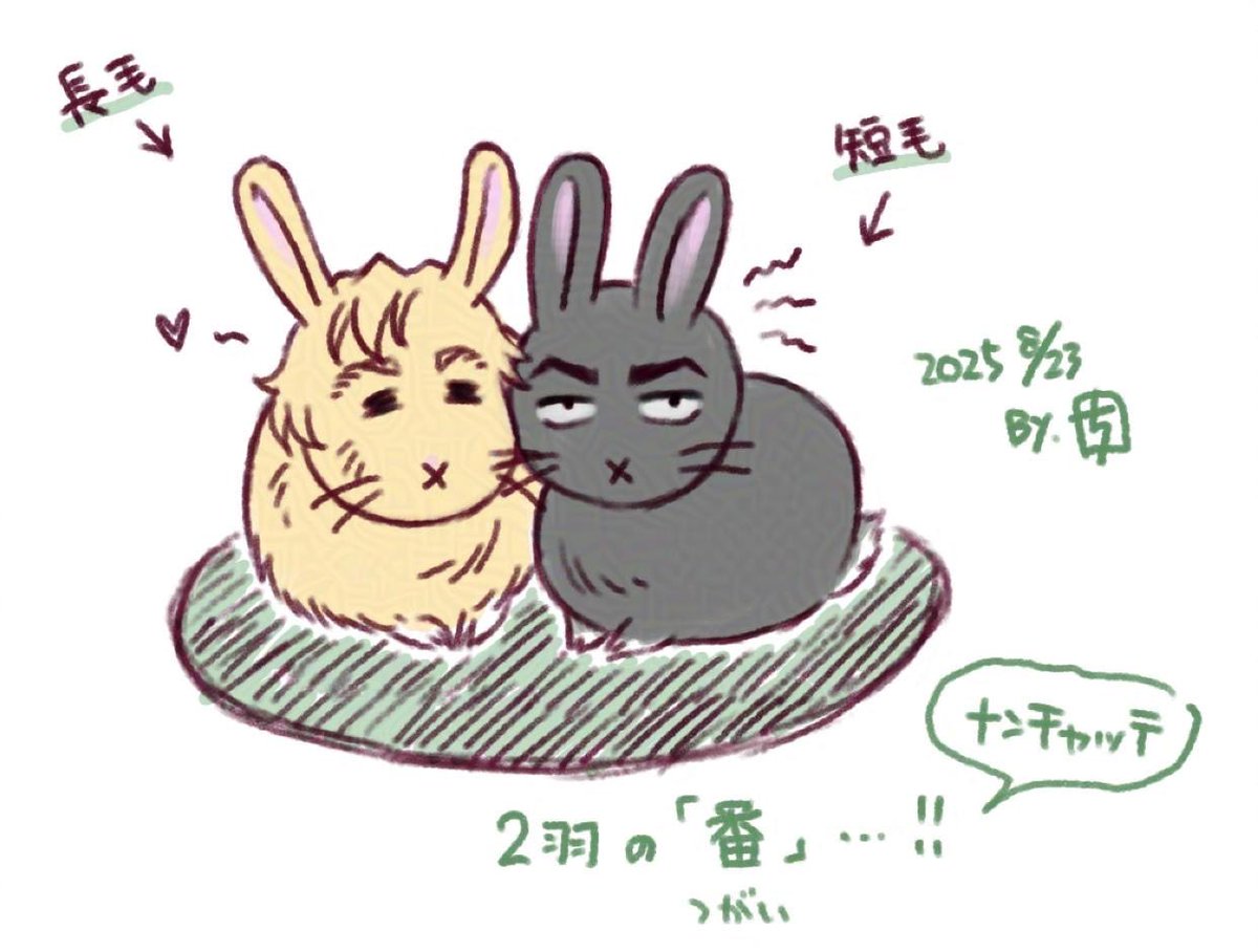 ちぢれ星毛@天下酢 tweet media