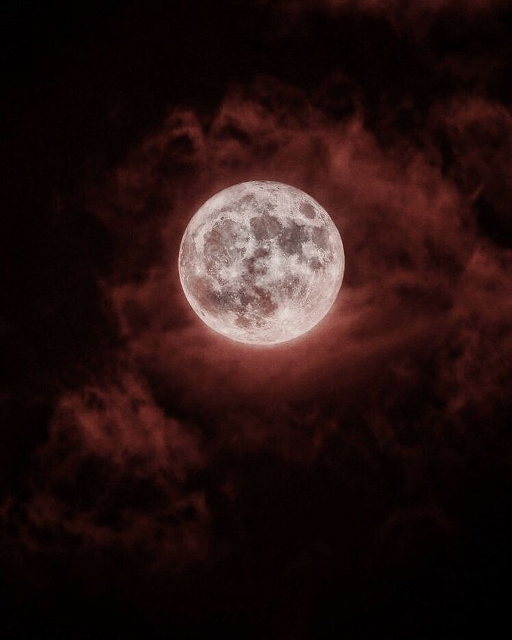 autora_ayla's tweet photo. Faltam quase duas horas pro fim do #enchaseukindle e você já se perdeu na vastidão de opções? Não se preocupe! Aqui está uma thread de monster romance/paranormal romance gratuito ou em promoção para você aproveitar! https://t.co/MPMhfMTEhS