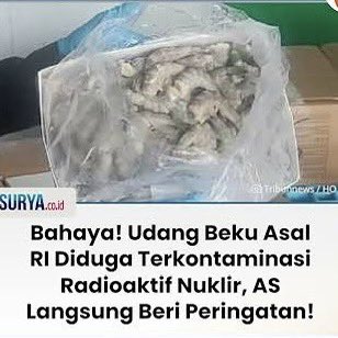 hermawan_devina's tweet photo. “Udang Frozen Asal Indonesia Terkontaminasi Nuklir” - Apakah kamu salah satu konsumennya?

Artikel:
🇲🇨 https://t.co/mcIOD09fCz
🇺🇸 https://t.co/k6ktamqXlt https://t.co/e9WJDx4rNd