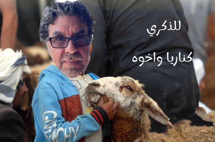 #محمد_ناصر_المتحرش 
#الاخوان_عملاء_اسرائيل