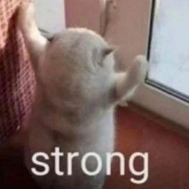 legobutch's tweet image. #completed my housebutch duties and we now have a black out curtain up