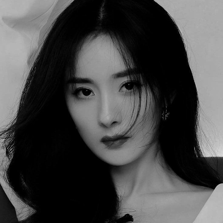 NYALA SAMERTA. tweet media