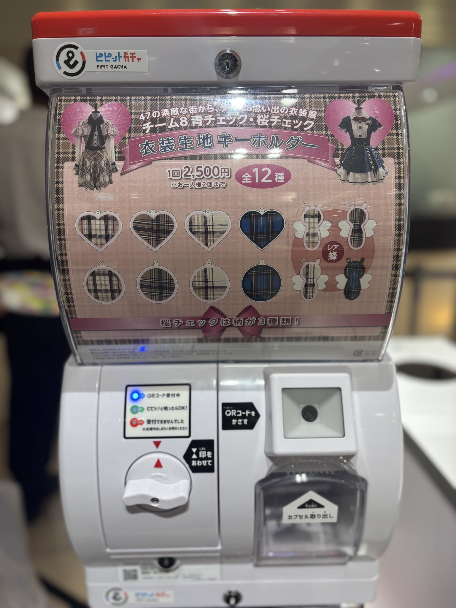 AKB48×大丸 衣装生地グッズ ポーチ 白黒チェック衣装ver AKB48×大丸 衣装生地グッズ ポーチ 白黒チェック衣装ver AKB48